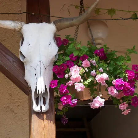 Alojamento de Turismo Rural Farma Zahradnice