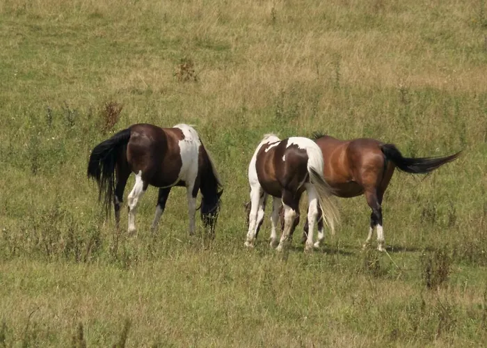 Farma Zahradnice * Olbramovice (Benesov)