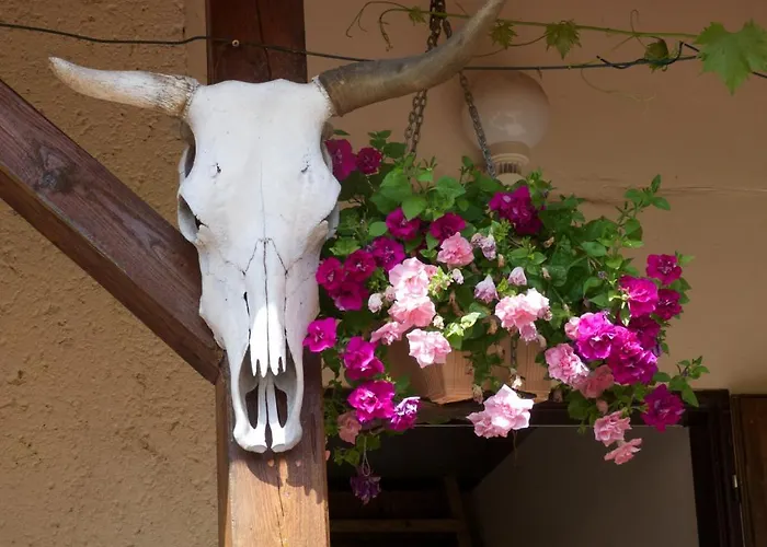 בית חווה Farma Zahradnice